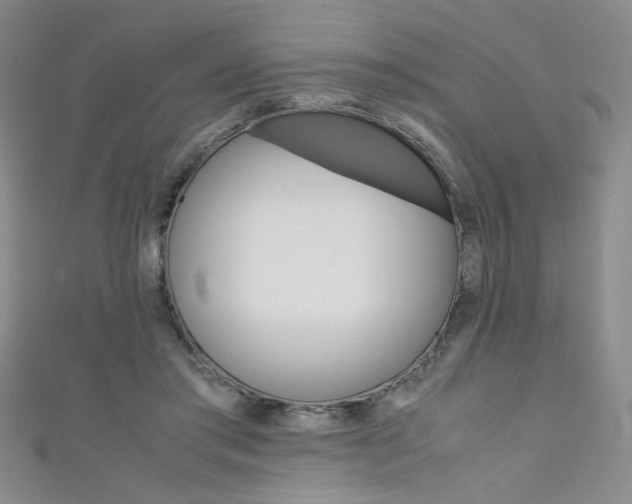 X0000111650405200907171103