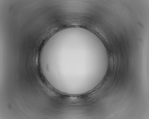 X0000111650406200907171103