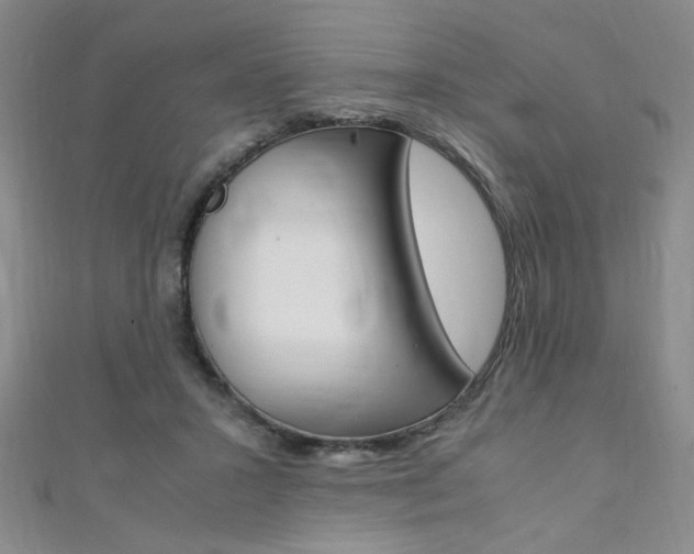 X0000111650407200907171103