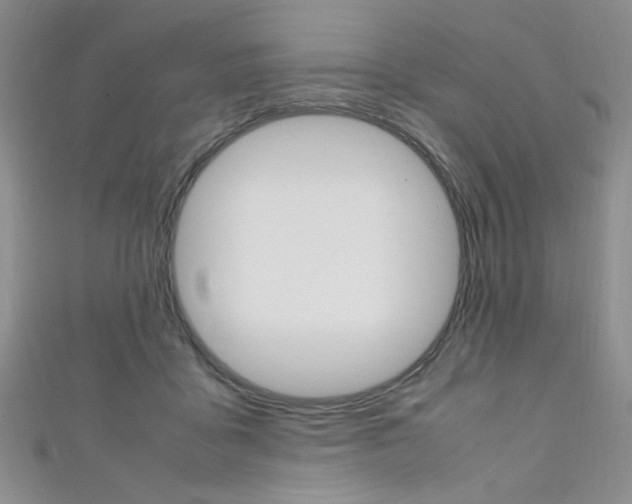 X0000111650411200907171103