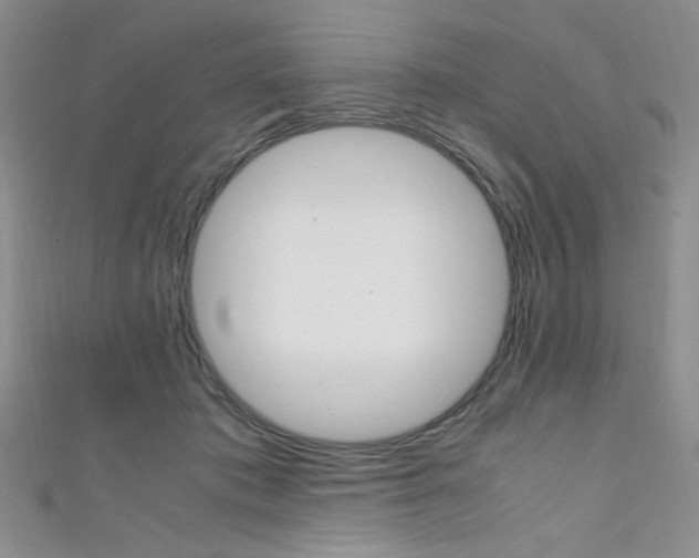 X0000111650413200907171103