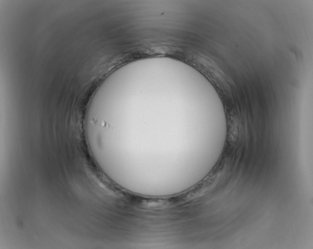 X0000111650414200907171103