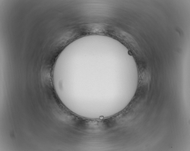 X0000111650415200907171103