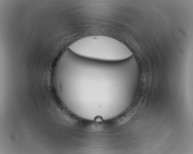 X0000111650416200907171103