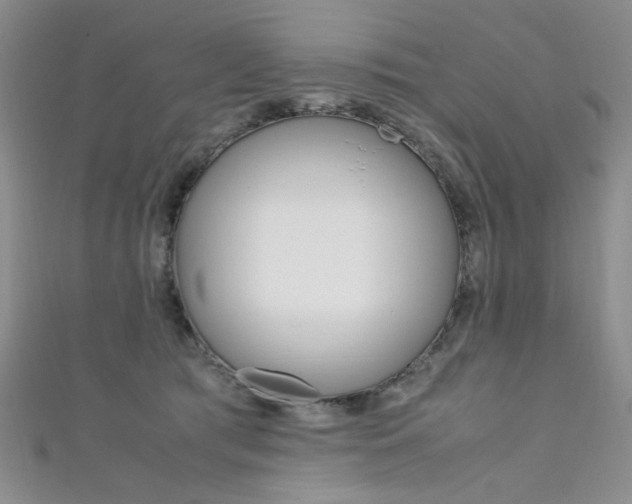 X0000111650417200907171103