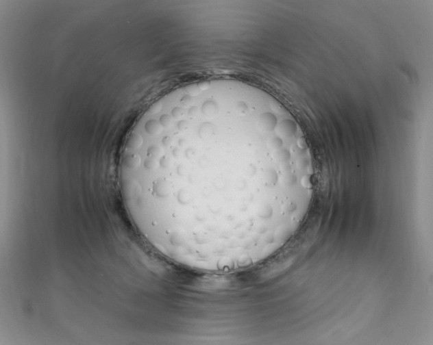 X0000111650418200907171103