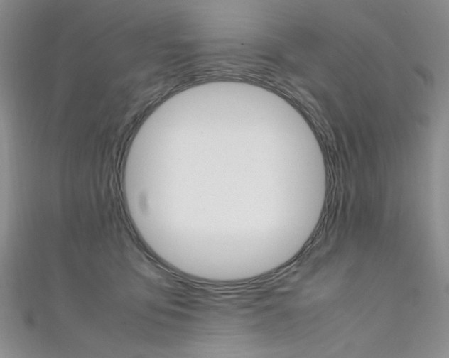 X0000111650419200907171103