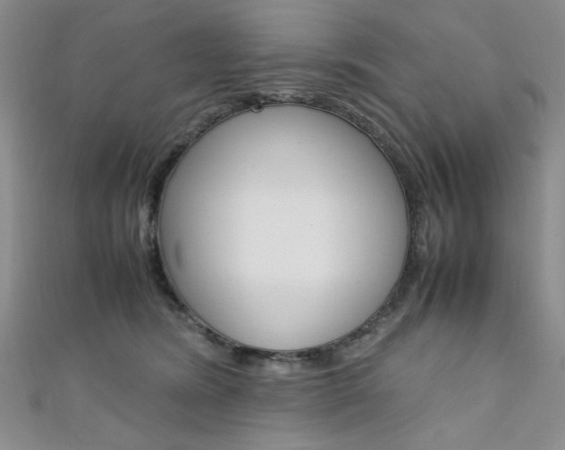 X0000111650420200907171103