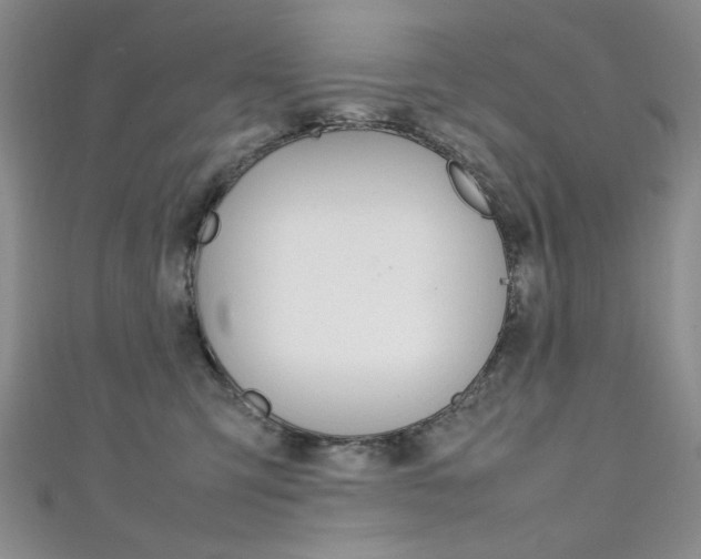 X0000111650423200907171103