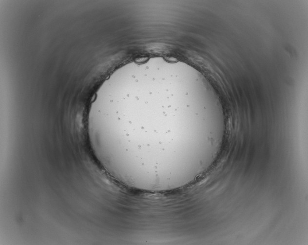 X0000111650424200907171103