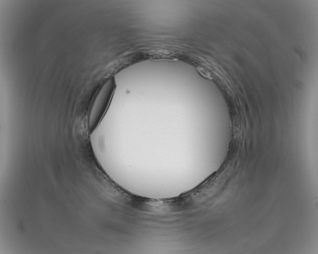 X0000111650425200907171103