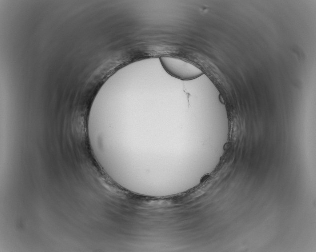 X0000111650426200907171103