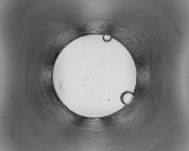X0000111650427200907171102