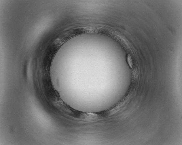 X0000111650429200907171102