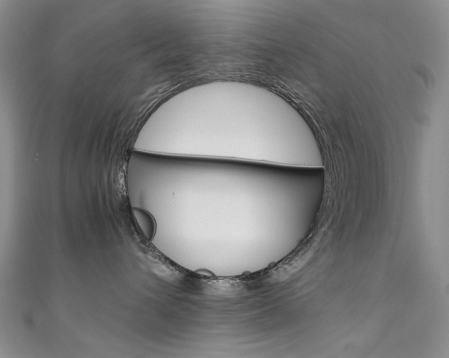 X0000111650432200907171102