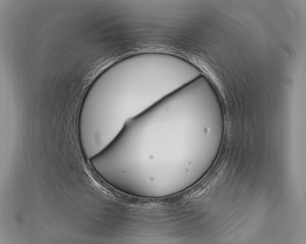 X0000111650433200907171102
