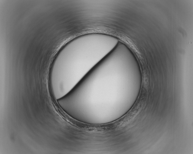 X0000111650434200907171102