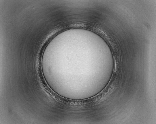 X0000111650435200907171102
