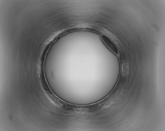 X0000111650436200907171102