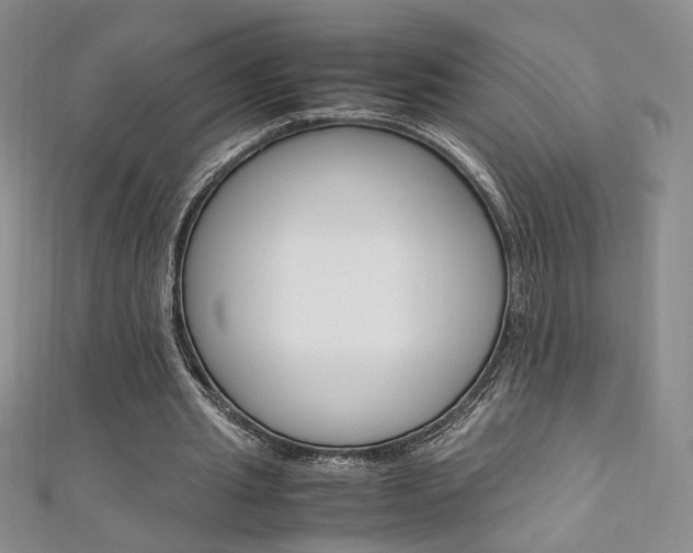 X0000111650437200907171102