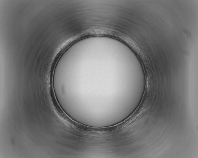 X0000111650438200907171102