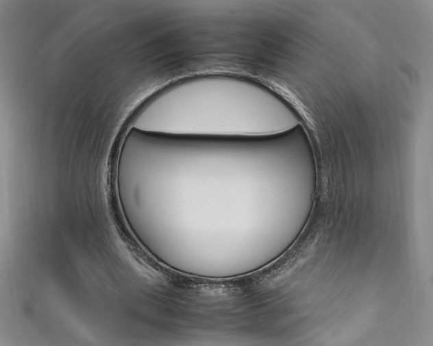 X0000111650439200907171102
