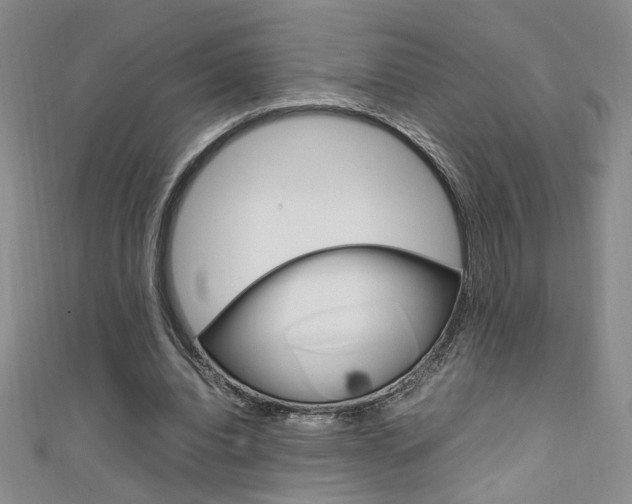X0000111650440200907171102