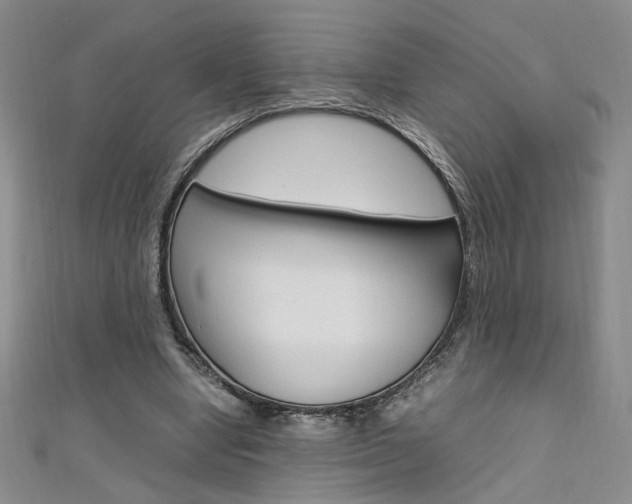 X0000111650442200907171102