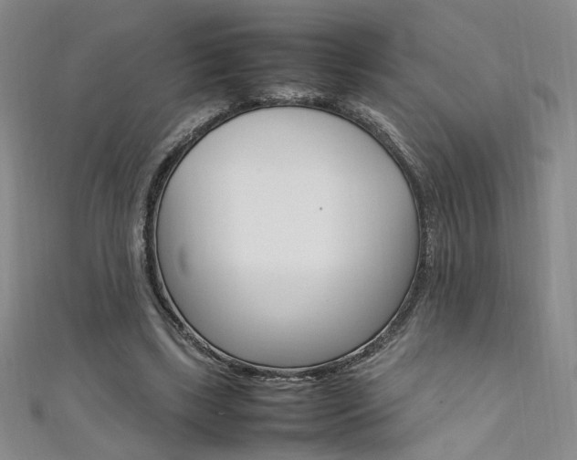 X0000111650443200907171102