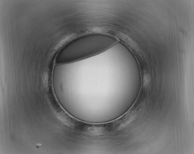 X0000111650444200907171102