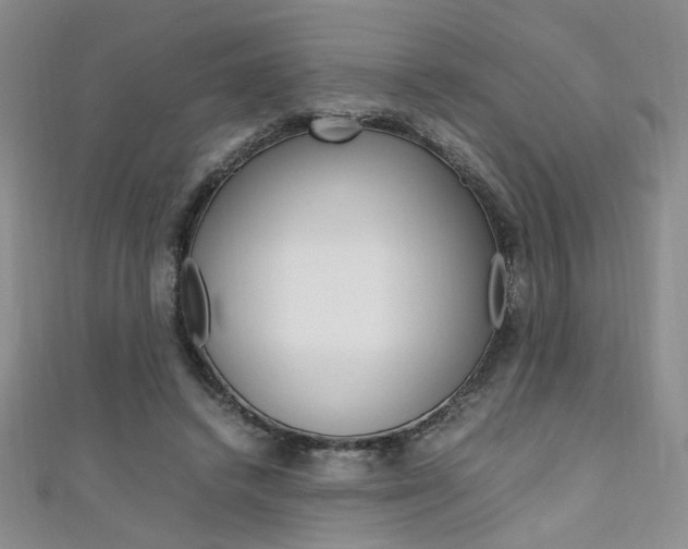 X0000111650448200907171102