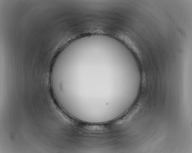 X0000111650449200907171102