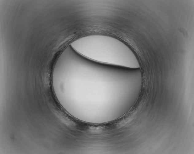 X0000111650450200907171102