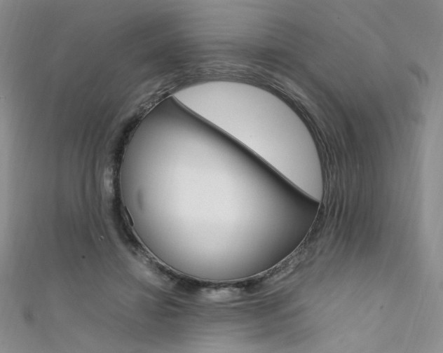 X0000111650452200907171102