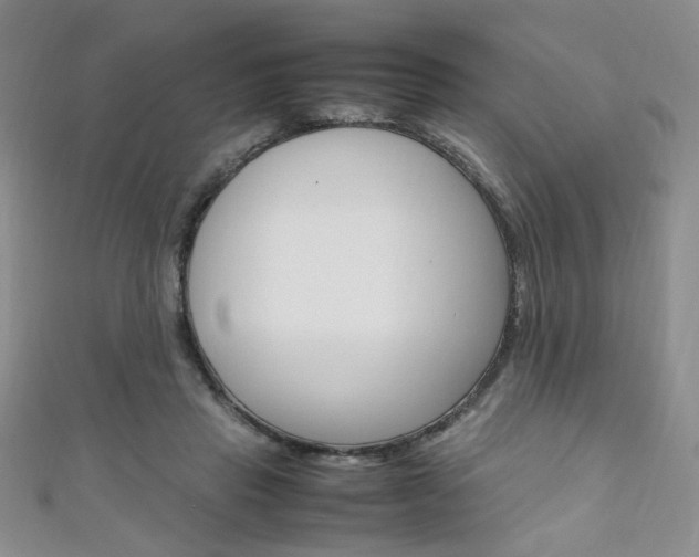 X0000111650453200907171102