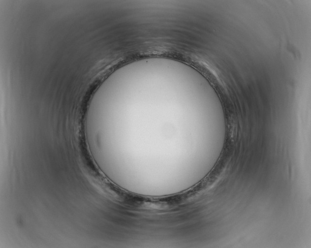 X0000111650455200907171102