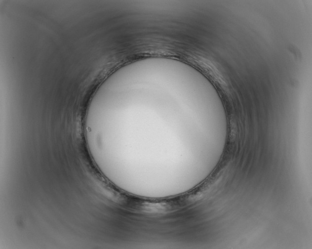X0000111650457200907171102