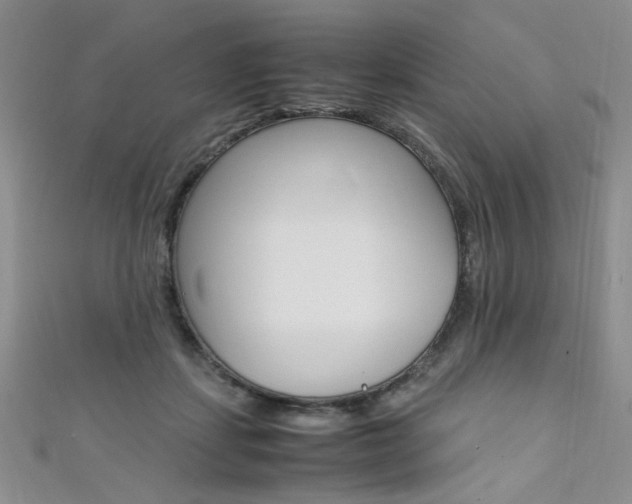 X0000111650459200907171102