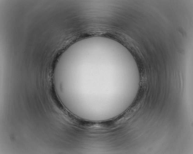 X0000111650460200907171102