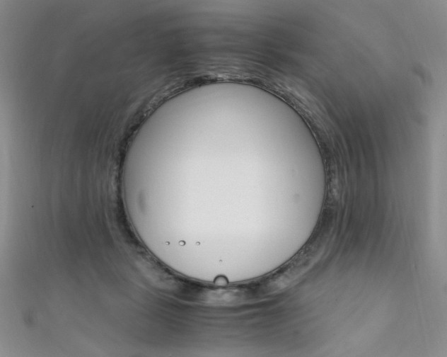 X0000111650461200907171102