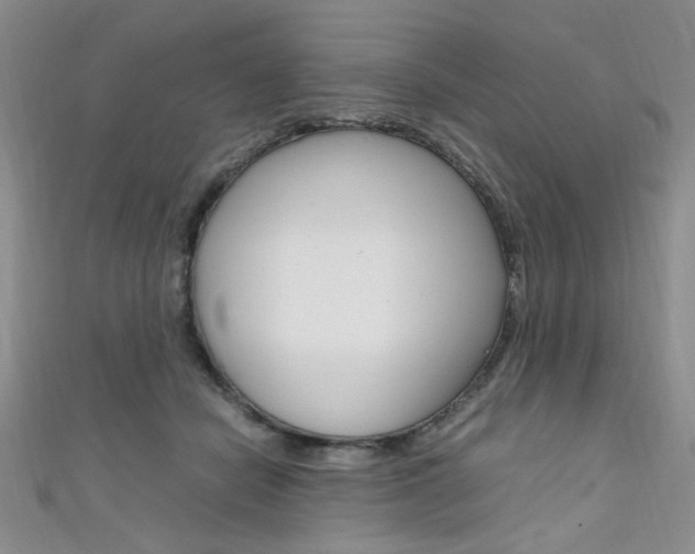 X0000111650462200907171102