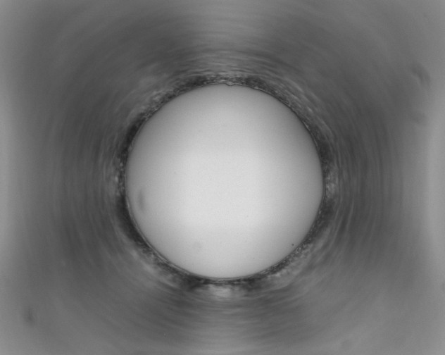 X0000111650464200907171102
