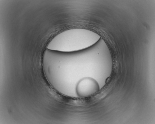 X0000111650466200907171102