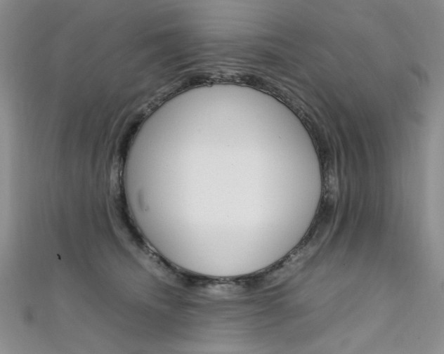 X0000111650468200907171102