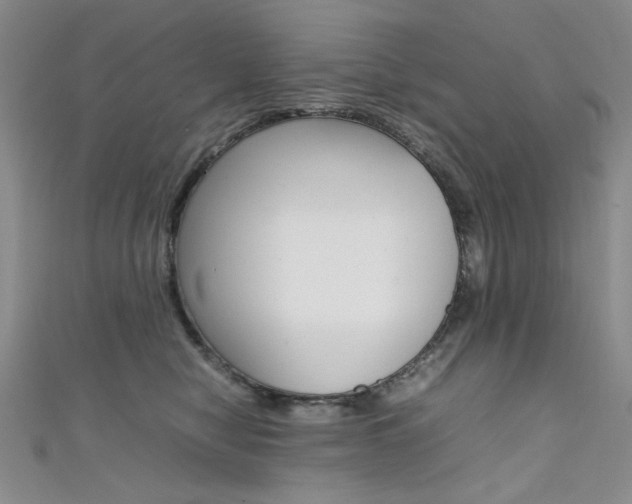 X0000111650470200907171102