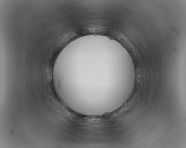 X0000111650471200907171102