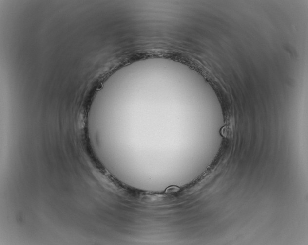 X0000111650472200907171102
