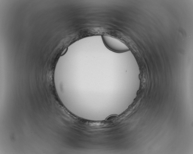 X0000111650473200907171102