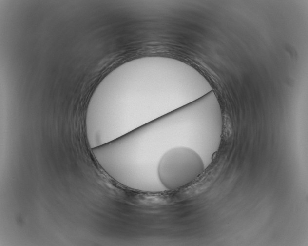 X0000111650475200907171102