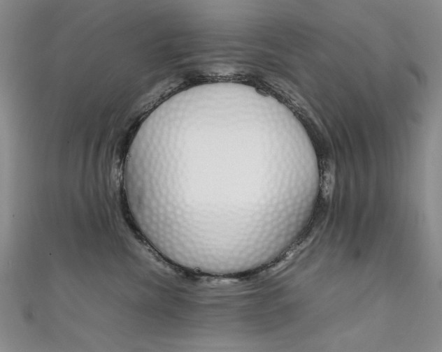 X0000111650476200907171102